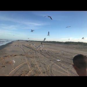 Meet your Posher, Marlen